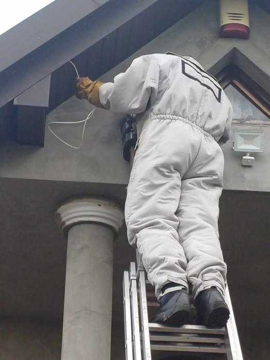Osoba w specjalistycznym kombinezonie ochronnym usuwa gniazdo owadów na poddaszu budynku, stojąc na drabinie