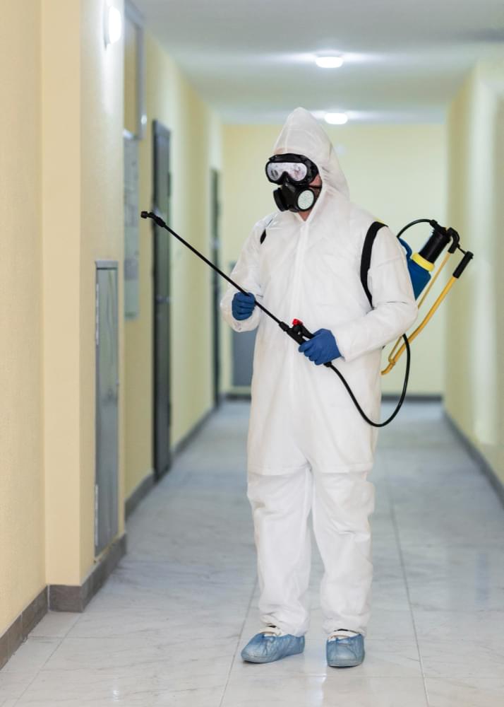 Technik ddd przygotowujący się do odpluskiwania mieszkania w Piotrkowie Trybunalskim